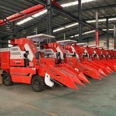 China Well Maize Working Small Maize Harvester Mini Maize Combine Harvester Double Row 33KW for sale