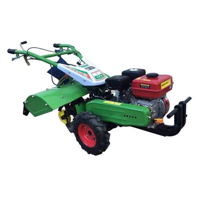 China Gasoline 170 Strong Multi Functional Adaptability Power Tiller Mini Ridging Weeding Rotary Farm Tool for sale