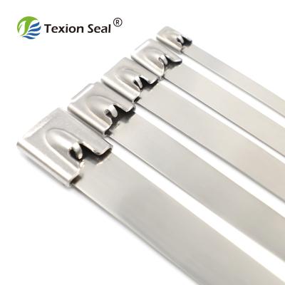 China 304 Tamper Proof Universal Stainless Steel TXST 005 Stainless Steel Security Cable Tie For Commodities for sale