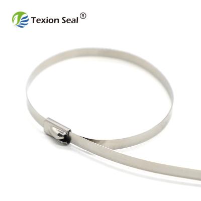 China 304 stainless steel cable tie TXST 003 china manufacture ladder cable tie stainless steel for logistic for sale