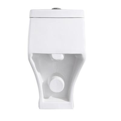 China Modern Toilets Design One Piece Strap Toilet Gravity Flow Lavatory Flushing Canvas for sale