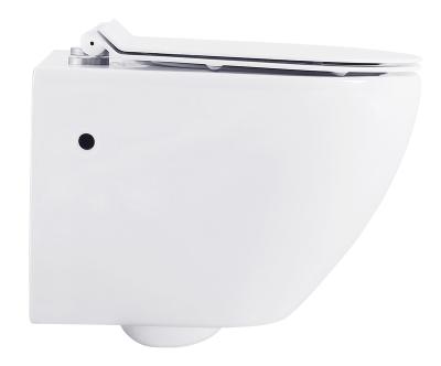 China Wholesale Hot Sale Modern Wall Hung Toilet Ceramic Tank Hidden Designer for sale