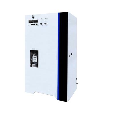 China 200g/h Customized Ce Certified Single 1012 % Sodium Hypochlorite Generator Machine 500ppm for sale