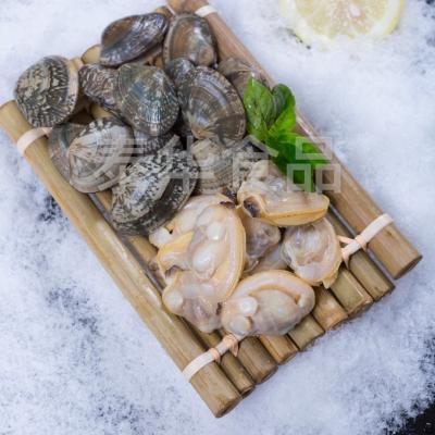 China FROZEN COOKED FRESH MEAT of SEASONAL cooked BABY CLAMS for sale