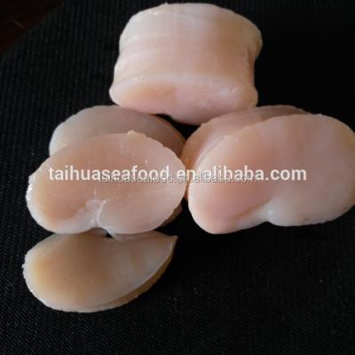 China High Quality FROZEN Frozen Scallop Pen Scallop For Sale for sale