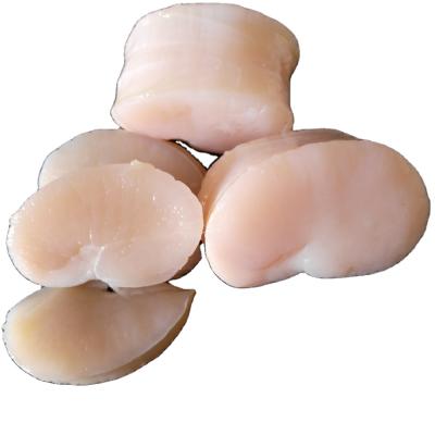 China FROZEN FROZEN fresh and no chemical processed scallop meat for sale