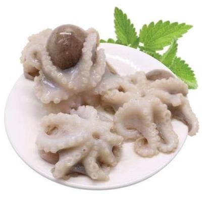 China Indonesia's Best Frozen Baby Octopus 16-20 for sale