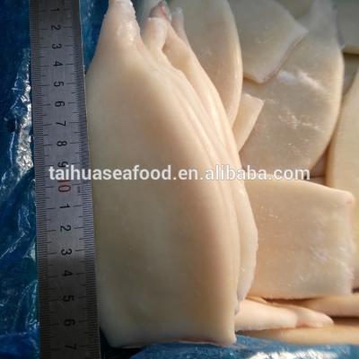 China New Tube U5 Squid Low Fat Fresh Frozen Product for sale