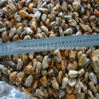 China FROZEN freshwater mussel meat for sale