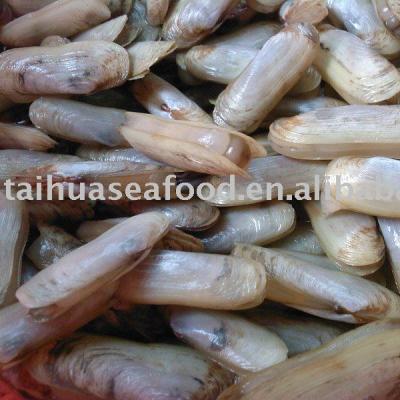 China FROZEN whole razor canned whole clams for sale