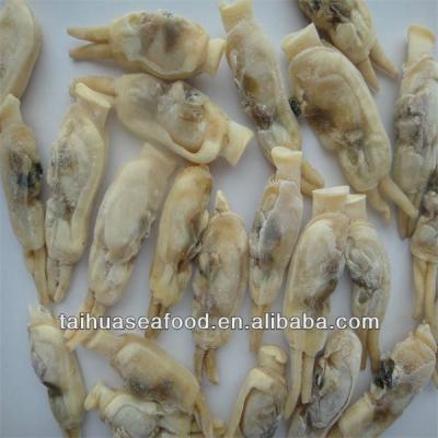 China FROZEN Clam Meat Frozen Cooked Razor for sale