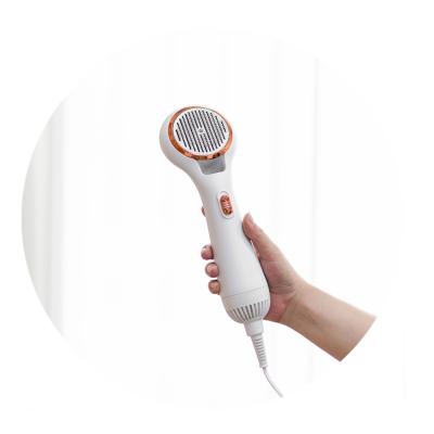 China Viable Pet Hair Brush Hair Dryer 2 in 1 One Click Pet Grooming Cleaning Tool for sale