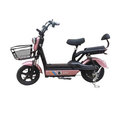 China China Factory Two Wheel Electric Bike Steel Cargo Bike Electric Bicycle for sale