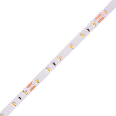 China 110lm/W Smd2835 RGB LED Strip Light 8mm Dc 12v 24v Ip20 Ip65 for sale