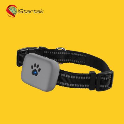 Cina 2020 new products indoor home personal chips pet dog collar mini gps tracker child tracking pendant in vendita