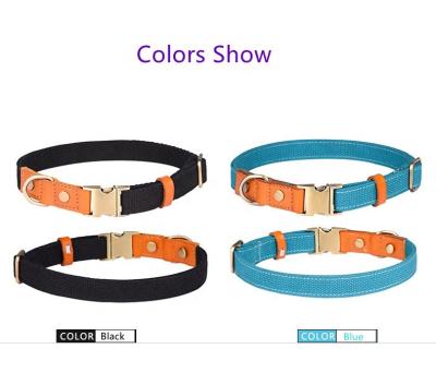 China ADJUSTABLE SIZE multicolored dog collars viable FOR ANY DOG for sale