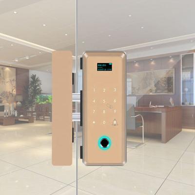 China Zinc Alloy Advanced Digital Keypad Fingerprint Frameless Glass Door Lock For Glass Door for sale