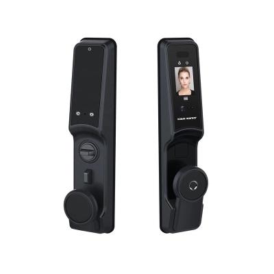 China Face Recognition Zinc Alloy Smart Biometric Fingerprint Door Lock With Digital Password Rfid Card for sale