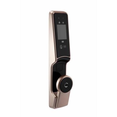 China Face Recognition Zinc Alloy Lock Home Security Automatic Electronic Biometric Door Lock With Fingerprint RFID Card for sale