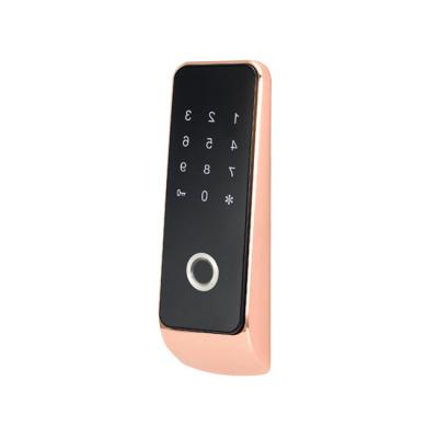 China Zinc Alloy Smart Electronic Home Security Fingerprint Ability Lock Passcode Biometric Lock for sale