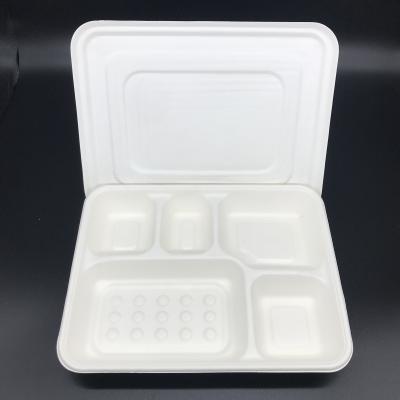 China 5 Compartments Disposable Biodegradable Bagasse Sugarcane Fiber Pulp Food Dish Divided Dish Tray With Lid for sale