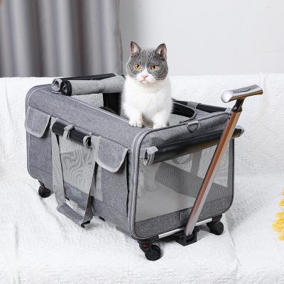 China Detachable Breathable Folding Cat Bag Hand Cats Pet Bag Trolley Case Large Capacity for sale