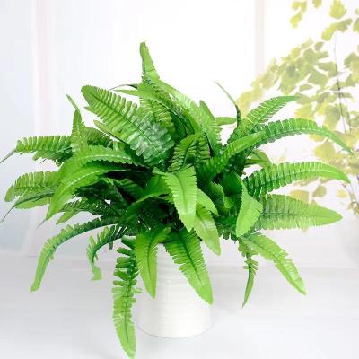 China Plastic Artificial Fern Leaf Bush Artificial Persian Grass Wedding Family Garden Decoration Plastic Environmental Protection for sale