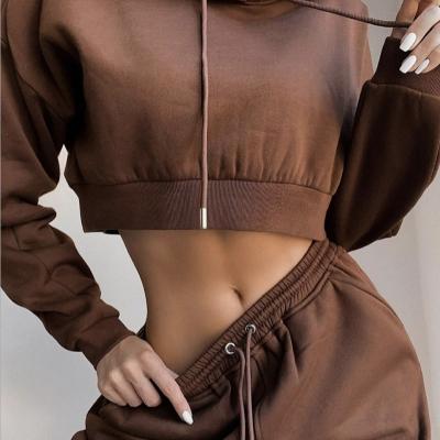 China Solid Color Breathable Sportswear Women's Hooded Thick Fashion 2 Pieces Set Crop Women's Top Pants Women's Casual Suit for sale