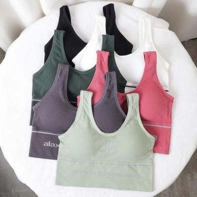 China QUICK DRY Women's Beauty Bra Yoga Bra Comfort Wrapped Chest Tube Vest Ladies Sports Bra Upper Back for sale