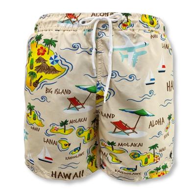 China Plus Size Plus Size White Panel Shorts Bikini Wholesale Graphic Printed Mens Swimwear Swimming Trunks Beach Pants for sale