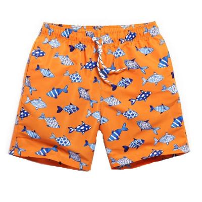 China Plus Size Plus Size Board Shorts Kids Swimwear Designer Swim Trunks For Men's Beach Pants for sale