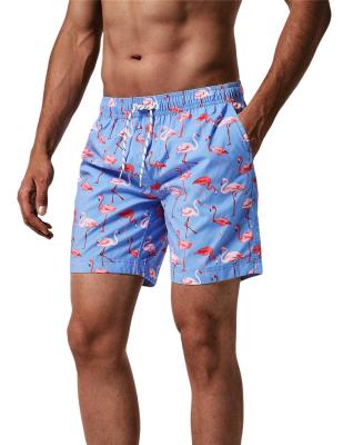 China Men's Sports Wear Anti-UV Quick Dry Board Trunks With Scratch Fashion Hawaii Beach Casual Shorts for sale