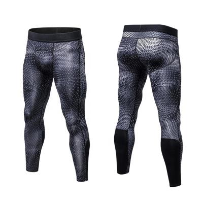 China 2019 New Arrival Good Quality Gym Plank Fitness Antibacterial Antibacterial Compression Pants for sale