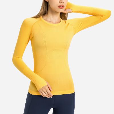 China Wholesale Breathable Logo Gym Wear Seamless Workout Custom Sports Yoga Wear Women Sports Long Sleeve Yoga Crop Top for sale