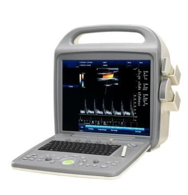 China SV-1000 Portable 15 inches Color Doppler Ultrasound Systemwith one convex probe for sale