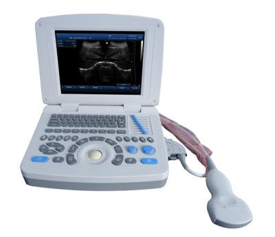 China SV-V10 non-interlaced LCD monitor PC based abundant and powerful functions Portable veterinary ultrasound scanner for sale