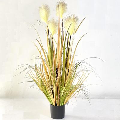 China Handmade High Simulation Real Touch Pampass Grass Home Decor Wedding Decoration Flower Arrangements Dry Artificial Fake Pampas Grass for sale