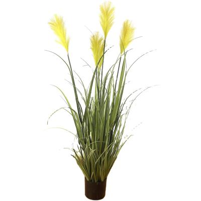 China Handmade Real Touch High Simulation Pampass Home Decor Wedding Decoration Floral Arrangements Dry Artificial Fake Pampas Grass for sale