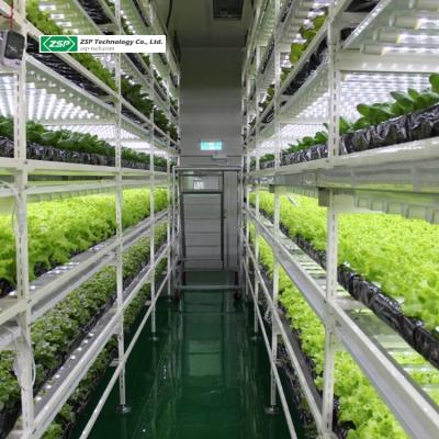 China Seed Starting Led Plant Production System Home Green Urban Grower Grow Light For Microgreens for sale