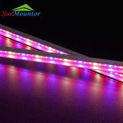 China A1713 t5 led grow light Diy connectable T5 led grow light 14.4W T5 led tube full spectrum grow light led with brackets for sale