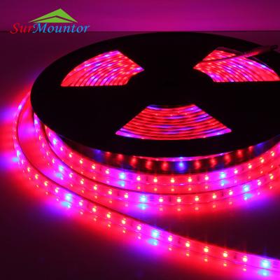 China 2018 New Design Hydroponic Garden Full Spectrum Led Grow Light For Greenhouse 2835 Led Strip Light Grow Light 24V 14.4W IP67 CE RoHS for sale