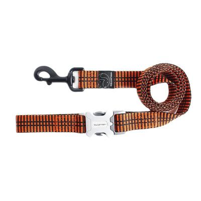 China New type pet strap production sale sustainable well chain striped polytechnic dog pet strap pet belt for sale