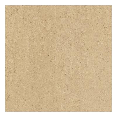 China Hasin Foshan Supplier 600x600mm KOREAN Study Room Flooring Matte Finish Outdoor Ground Floor Tile for sale