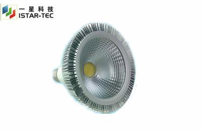 China Energy Saving 10 Watt PAR 30 par 30 led light cob led downlight for sale