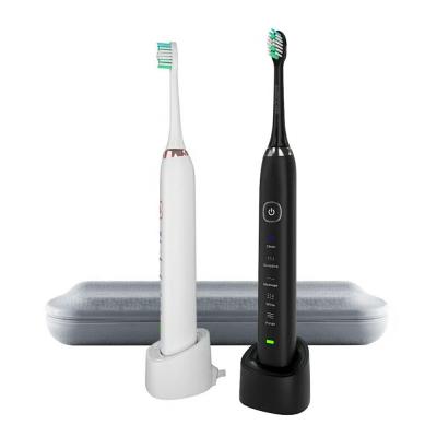 China Rechargeable Sonic Electric Toothbrush USB Rechargeable Sonic Electric Toothbrush Fast Charging Toothbrush for sale