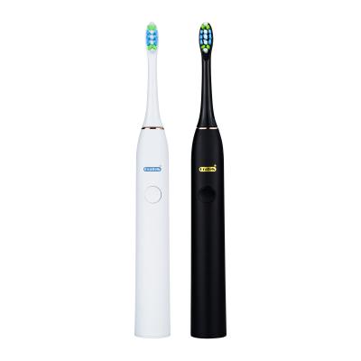 China Wholesale Adult Home Sonic Electric Toothbrush From Sonic Toothbrush Manufacturer Oratek for sale