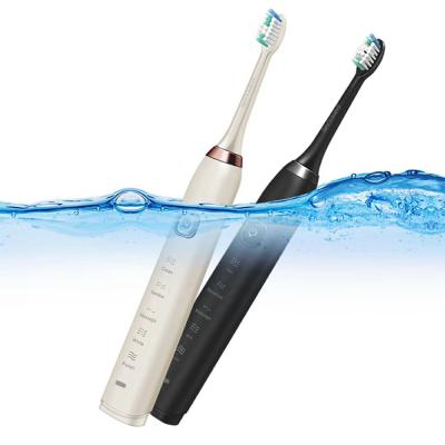 China Battery operated waterproof sonic electric toothbrush IPX7 31000 times/adult sonic electric toothbrush minimum vibration for sale