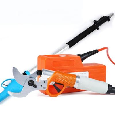 China Battery Operated Electric Long-Reach Anti-Slip Handle Telescopic Pole Pruner for sale