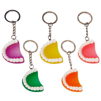 China Dental Care Dental Model Gift Key Chain For Gift Foshan Dental Security for sale