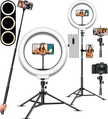 China 10 inch PORTABLE Selfie Ring Light with Adjustable Tripod Stand for Makeup, Live Stream, Tik Tok, YouTube for sale